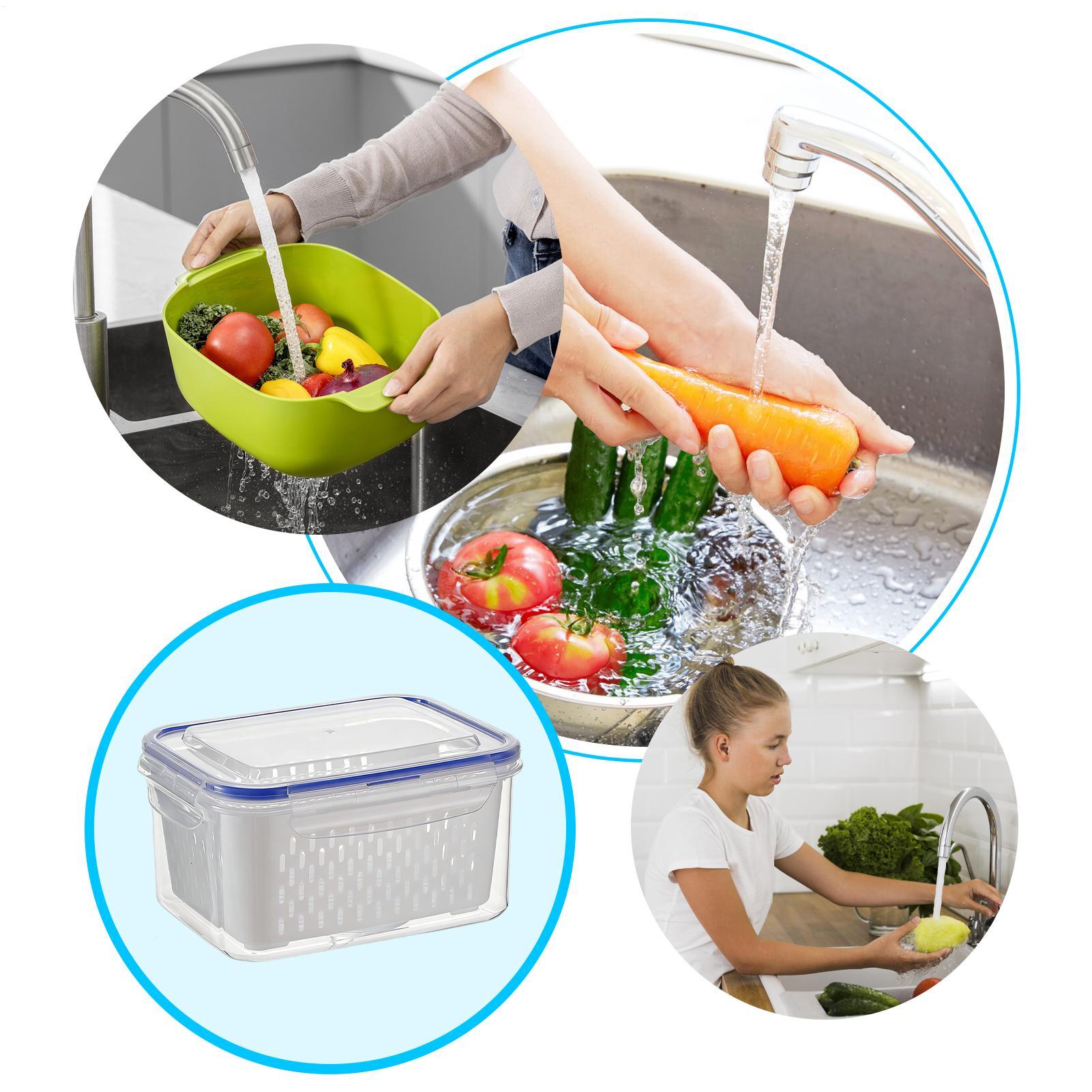 Wadah Penyimpanan Makanan 4 in - Food Storage For Refrigerator ulasan dan harga
