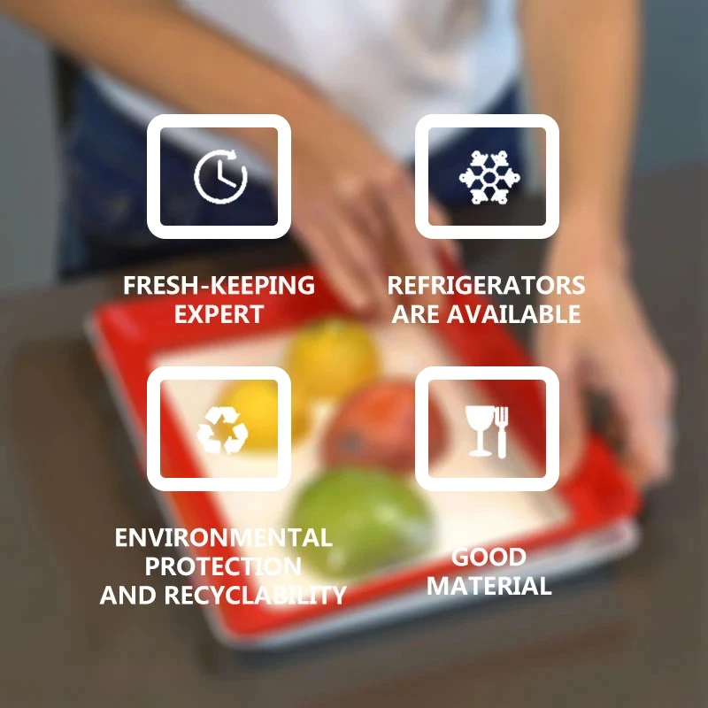 Baki Pengawet Makanan PP, Baki - Food Storage And Safety ulasan dan harga