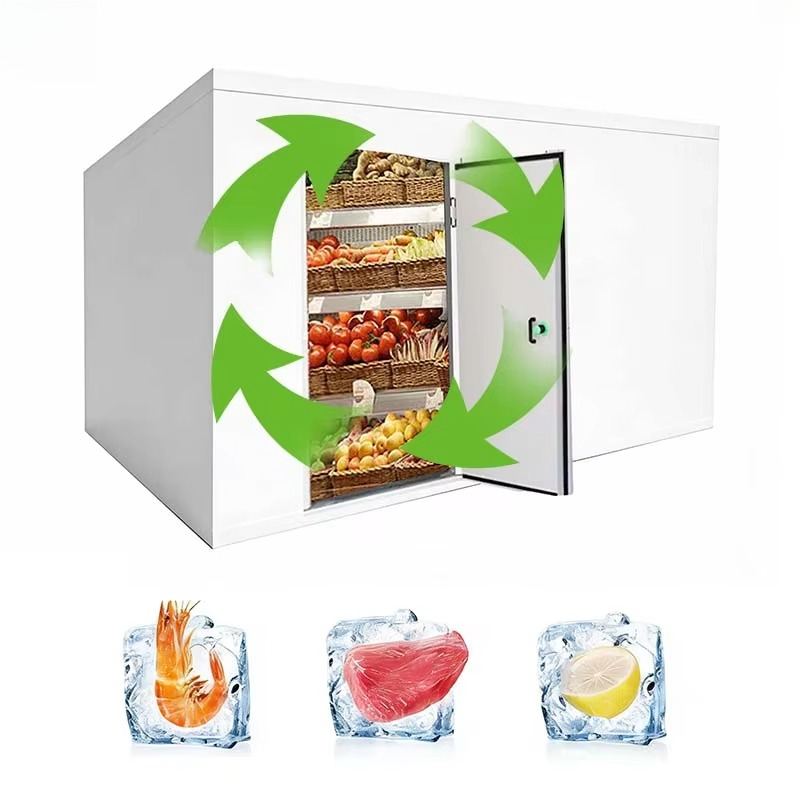 Ruang Pendingin Khusus untuk M - Food Storage And Safety ulasan dan harga