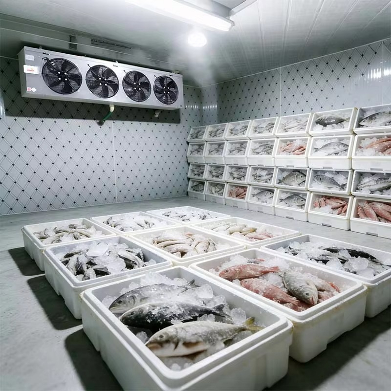Ruang Pendingin Khusus untuk M - Food Storage And Safety ulasan dan harga