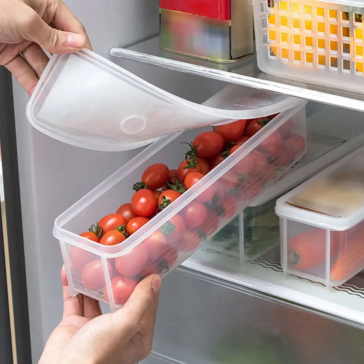 1 Kotak Penyimpanan Plastik Tr - Food Storage For Refrigerator ulasan dan harga