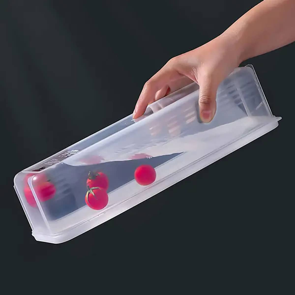 1 Kotak Penyimpanan Plastik Tr - Food Storage For Refrigerator ulasan dan harga